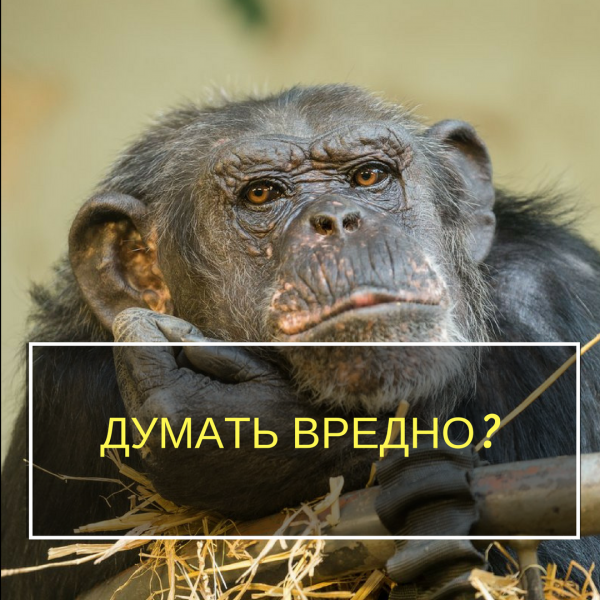 Думает прикол