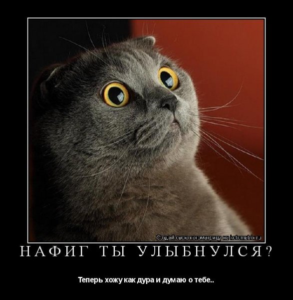 Думаю о тебе прикол