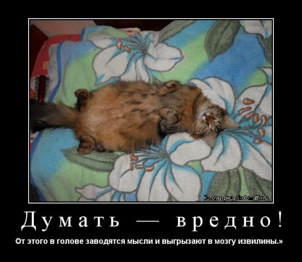 Приколы про мысли в голове
