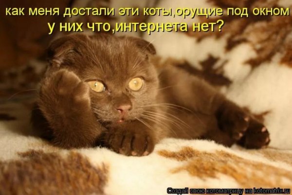 Столько дел столько дел