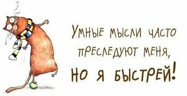 Умные мысли в картинках прикольные