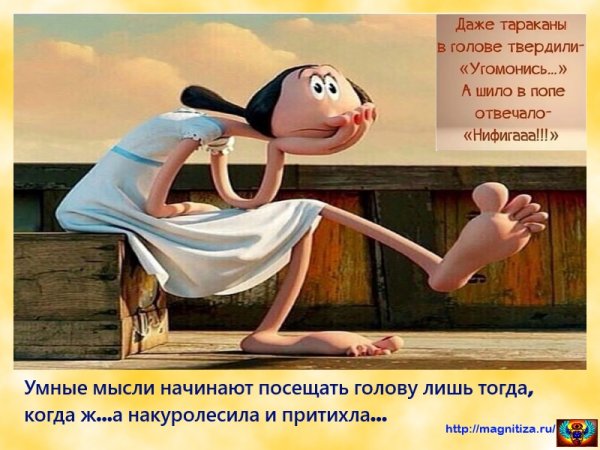 Смешные мысли в картинках