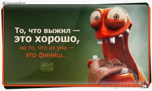 Мысли прикол