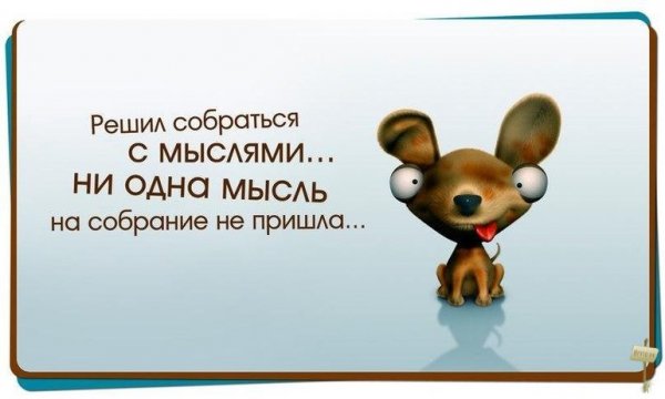 Умные Веселые мысли