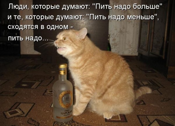 Надо больше пить
