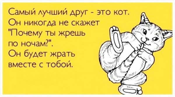 Папа накричал на маму мама накричала на сына сын накричал на кошку