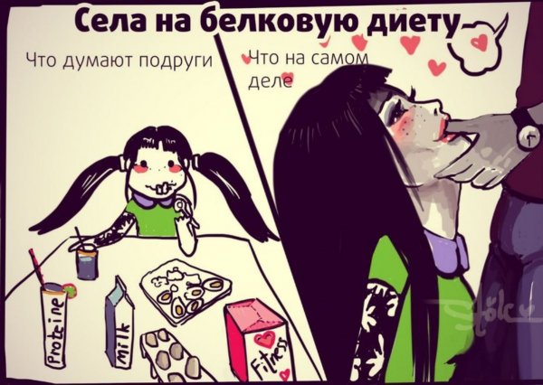 Села на белковую диету что думают подруги
