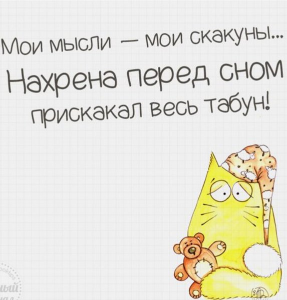 Смешные высказывания про сон