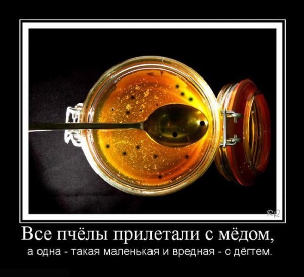 Смешной мёд