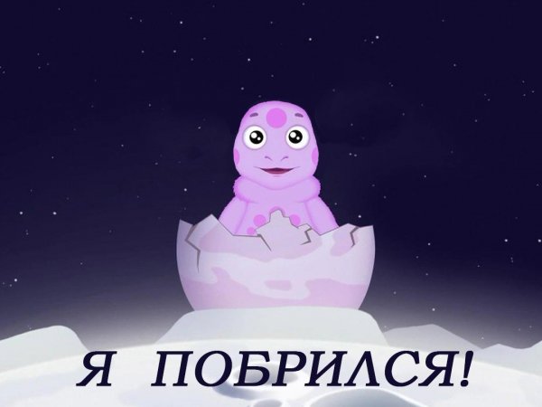 Лунтик я родился я побрился