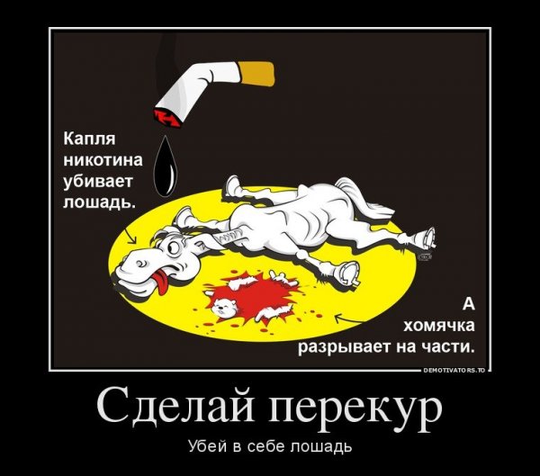 Капля никотина убивает лошадь а хомячка
