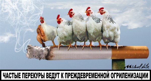 Перекур картинки юмор