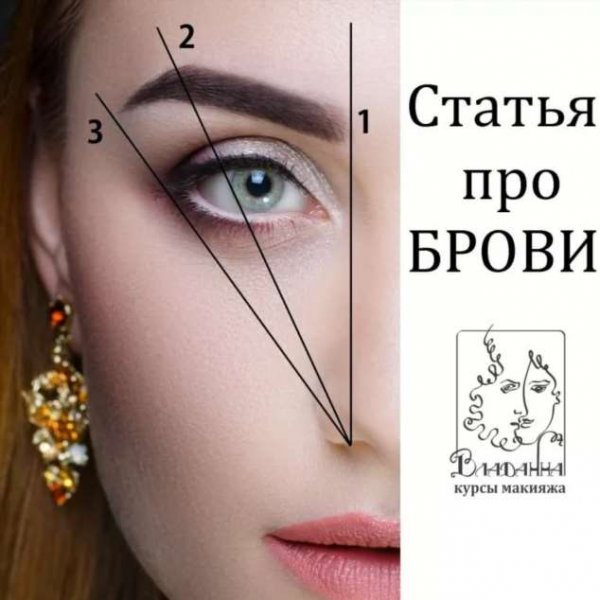 Высказывания про брови
