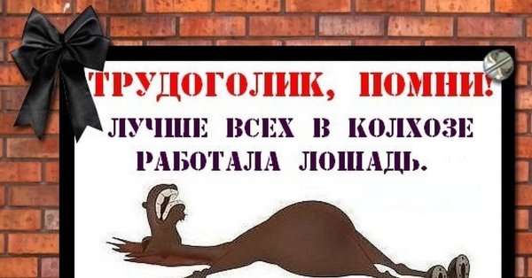 Лошадь которая не стала председателем