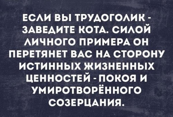 Смешные высказывания про трудоголико