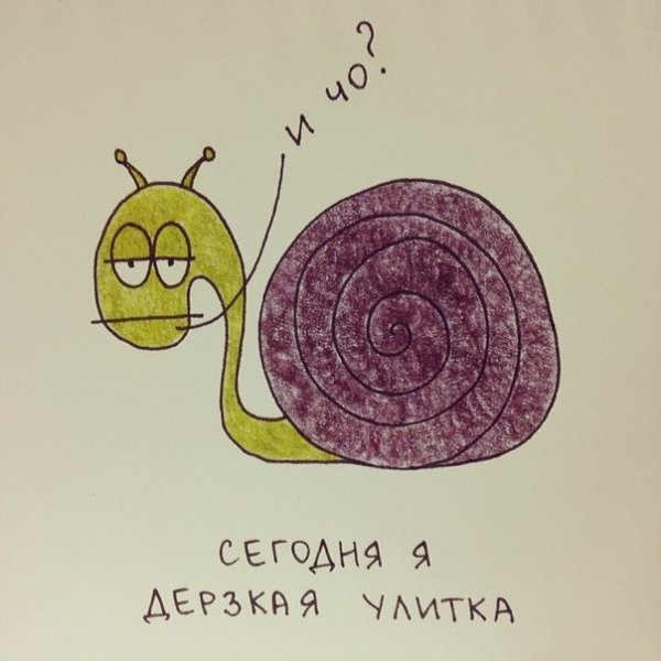 Улитка прикол