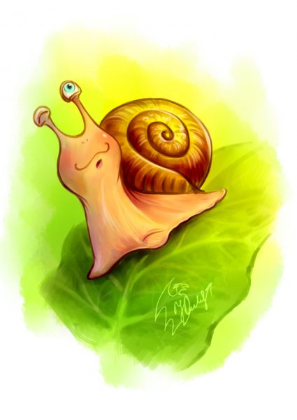 Смешная улитка
