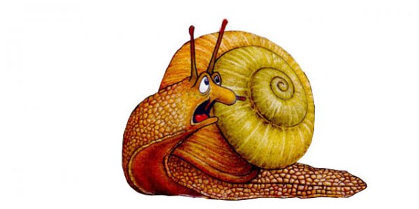 Мультяшные улитки