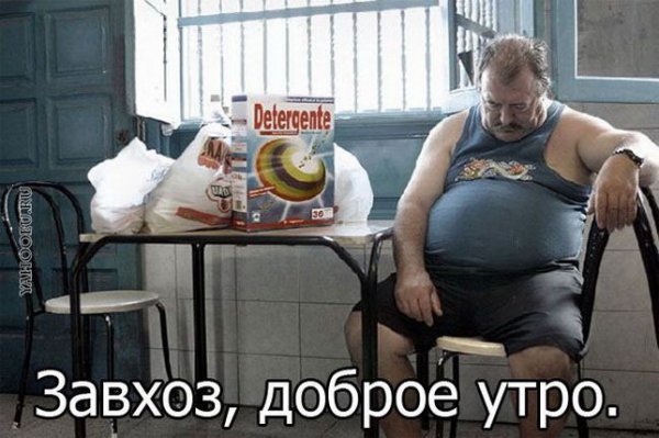 Завхоз прикол