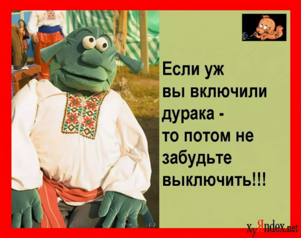 Смешные высказывания про дураков