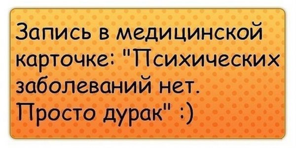 Высказывания про дураков