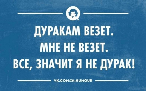 Смешные цитаты про дураков