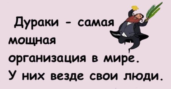 Дурак юмор