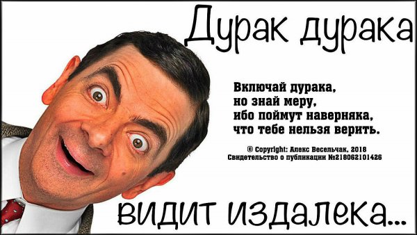 Дурак картинки