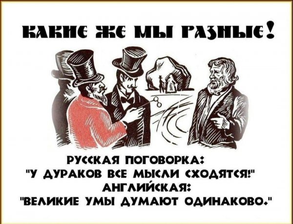 Пословицы про дураков