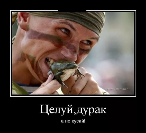 Демотиваторы про дураков