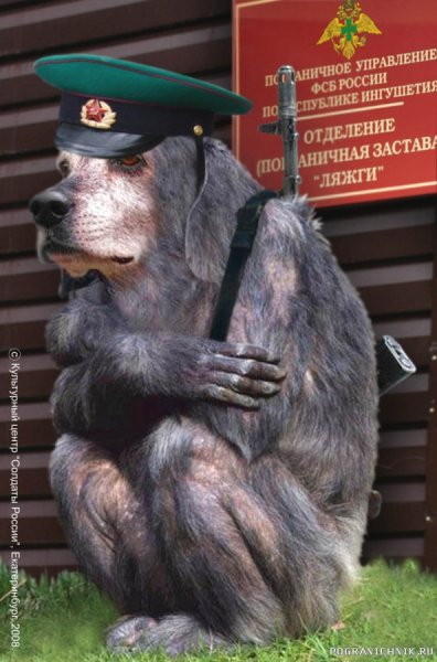 Пограничник юмор