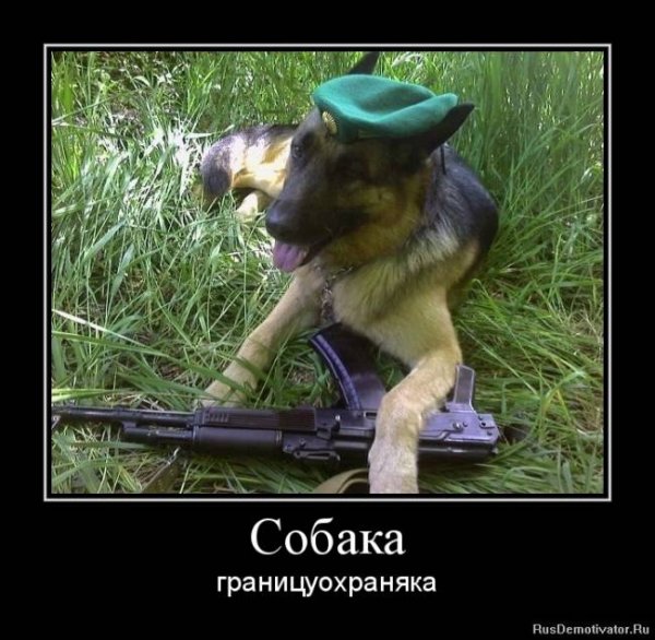 Пограничные приколы