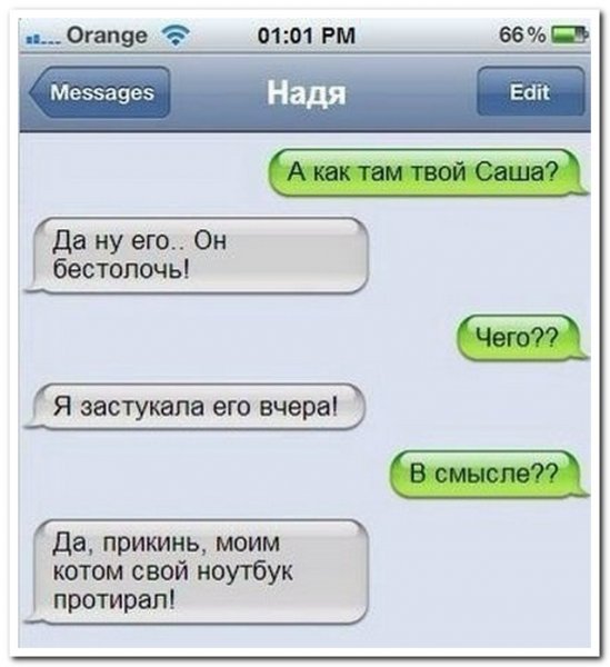 Саша юмор