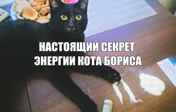 Открытки день хранения тайны