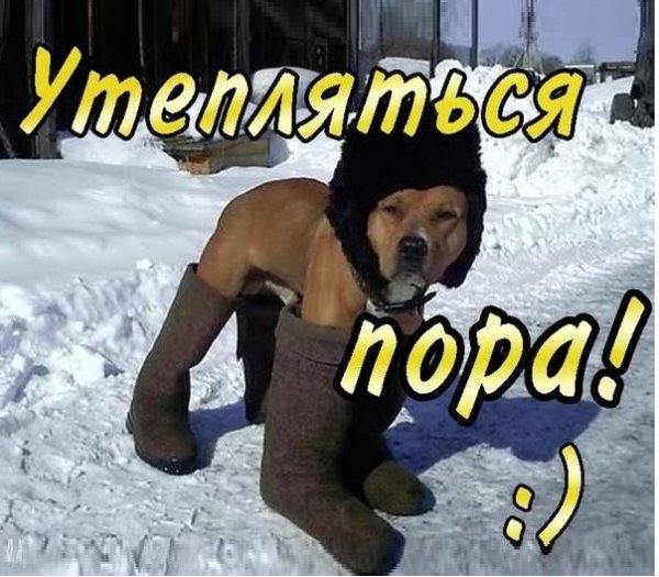 Похолодало пора утепляться