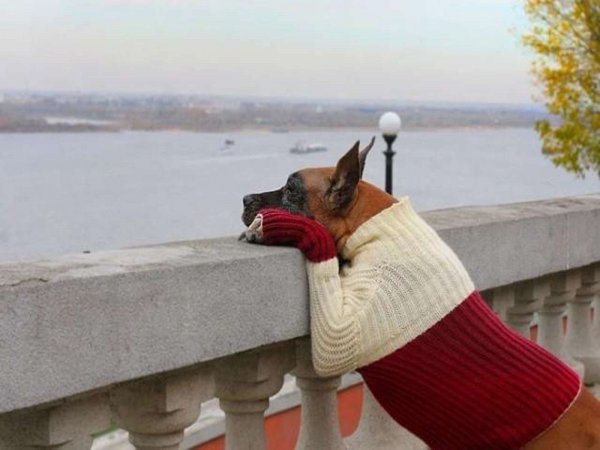 Пора утепляться на осень
