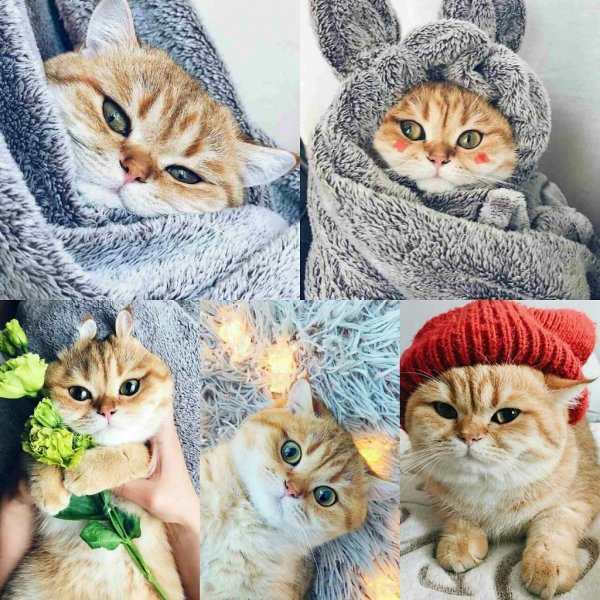 Утепляемся к осени