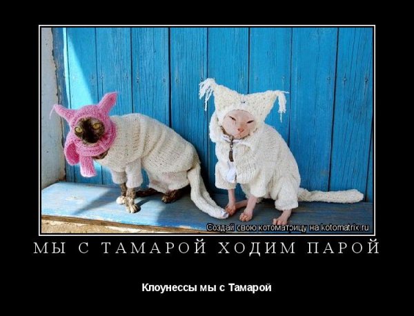 Приколы про вязание