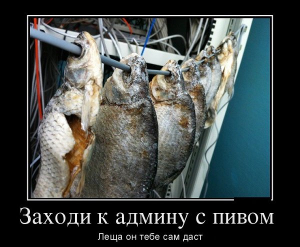 Админ прикол