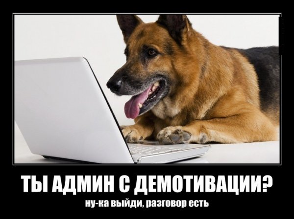 Администратор картинка