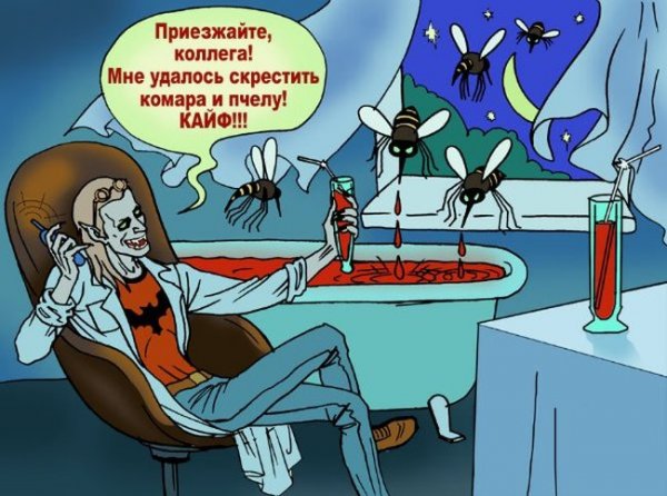 Вампиры смешные картинки