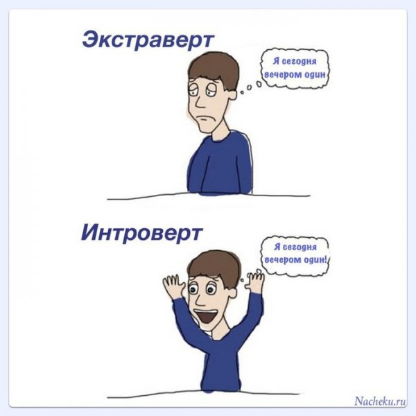 Мемы про интровертов