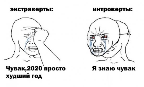 Шутки про интровертов в картинках