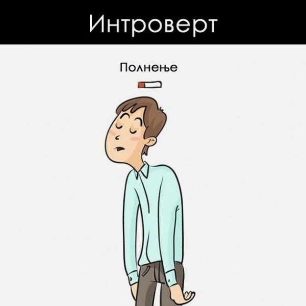Шутки про интровертов