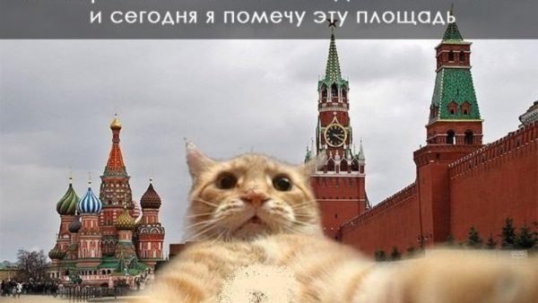 Джонни Кэтсвилл красная площадь
