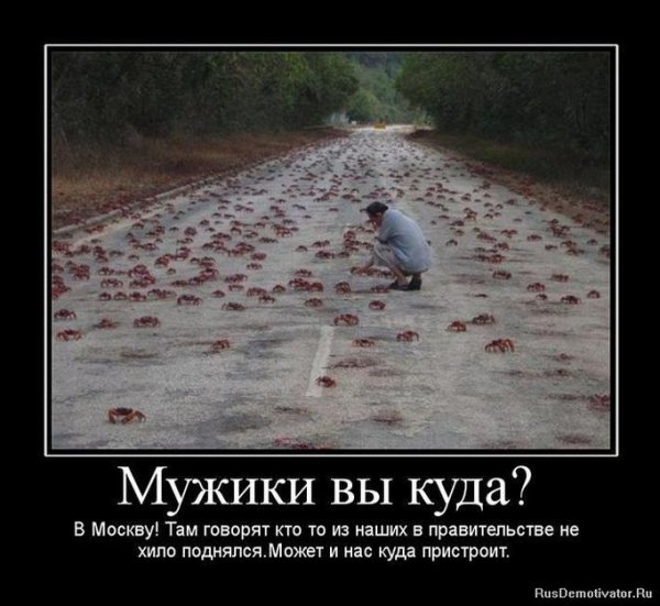 Москва прикол