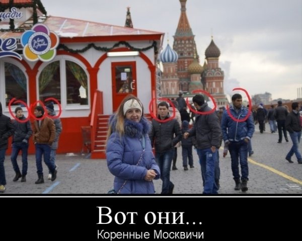 Коренные москвичи демотиватор