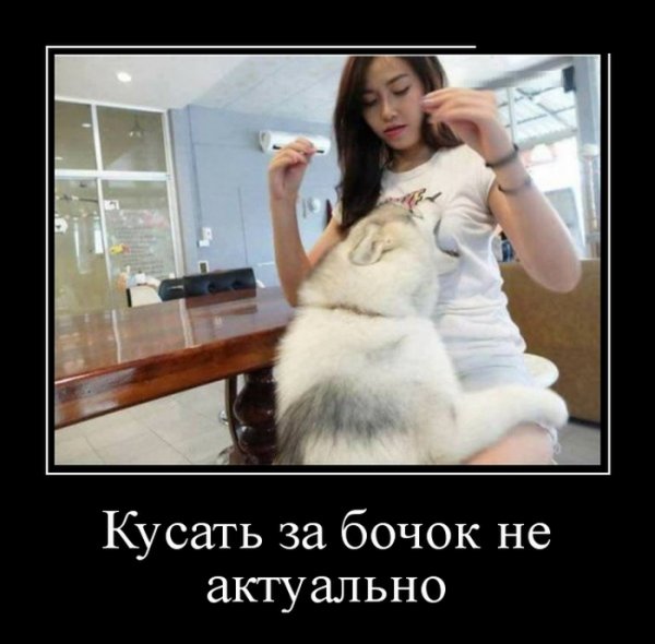 Прикольные картинки Угарные