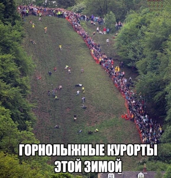 Кот за рулем автобуса
