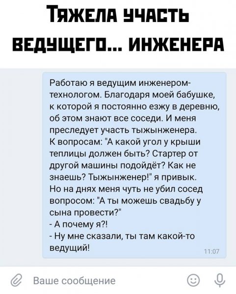 Кот в строительной каске